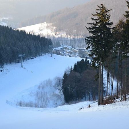 Apartman Pod Medvedi Horou Loučná nad Desnou Exteriör bild