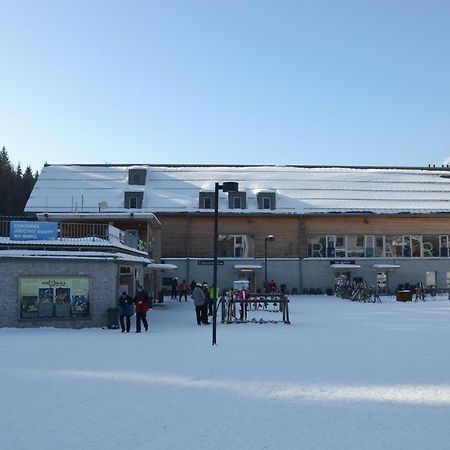 Apartman Pod Medvedi Horou Loučná nad Desnou Exteriör bild