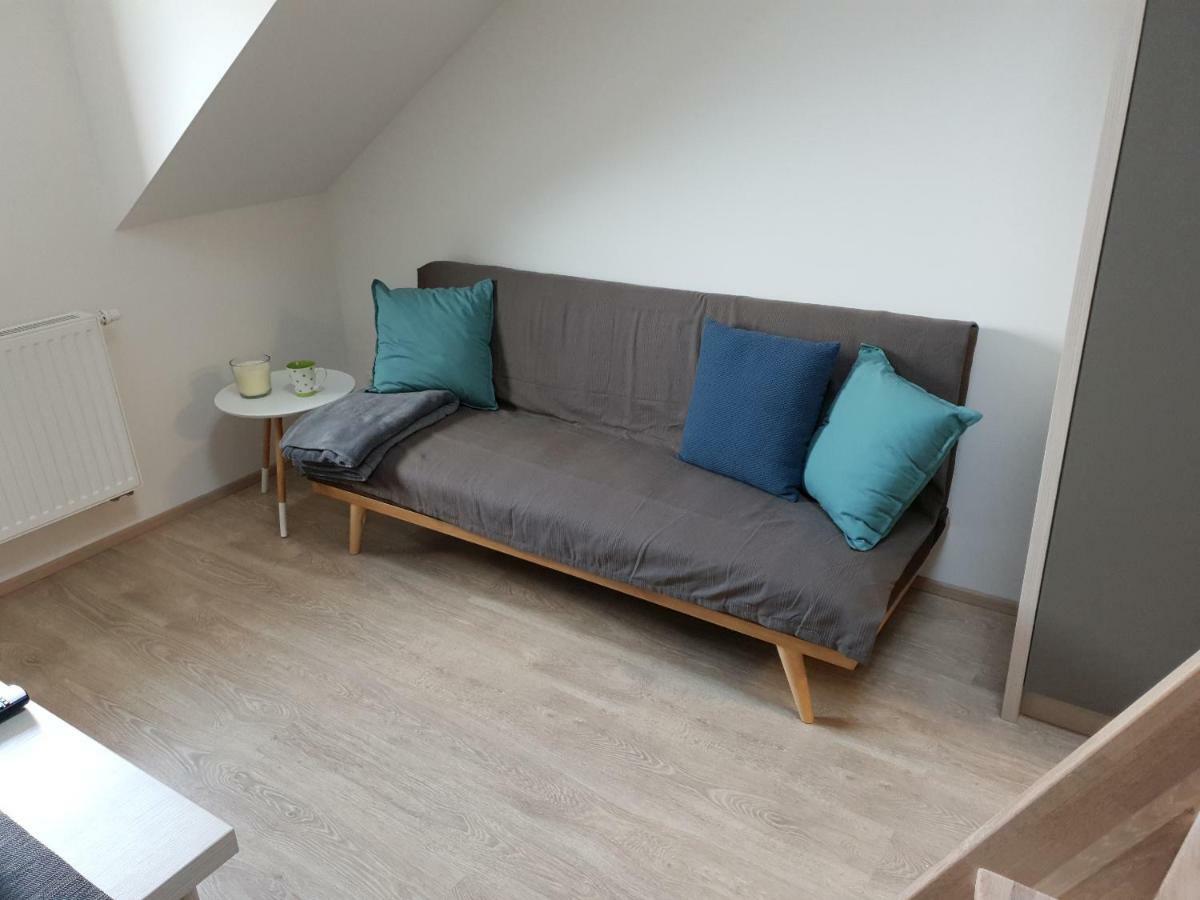 Apartman Pod Medvedi Horou Loučná nad Desnou Exteriör bild