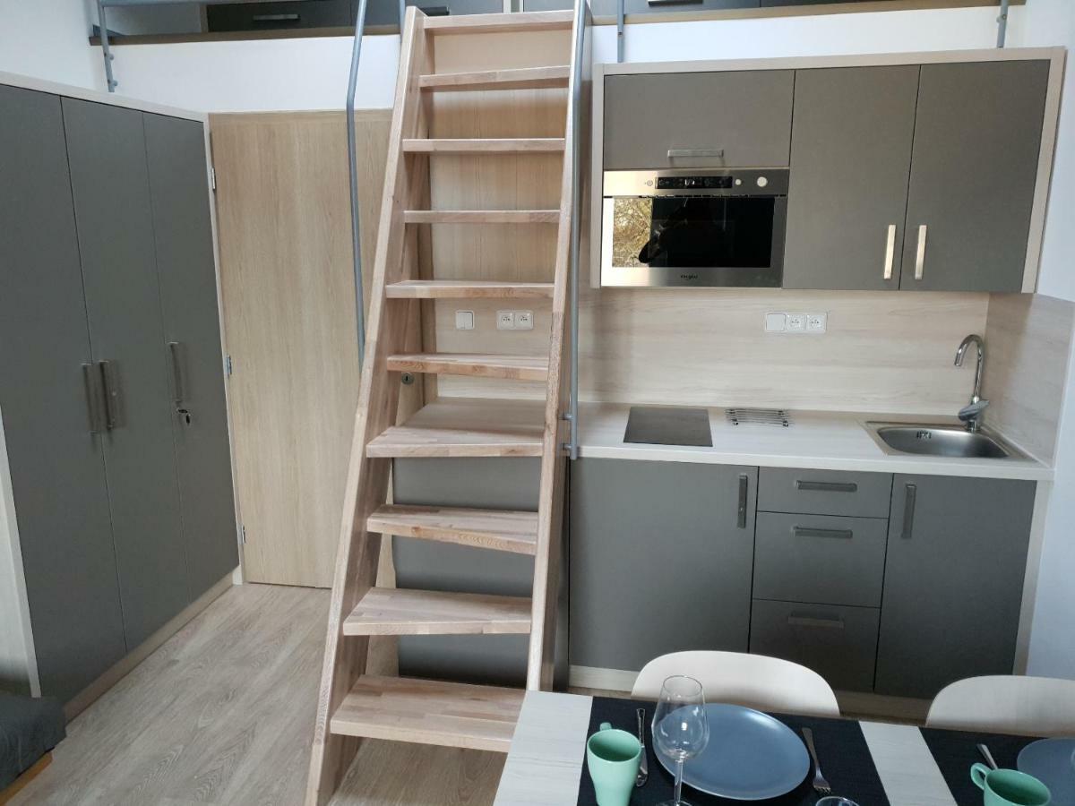 Apartman Pod Medvedi Horou Loučná nad Desnou Exteriör bild