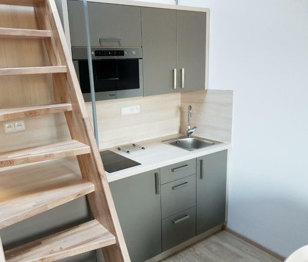 Apartman Pod Medvedi Horou Loučná nad Desnou Exteriör bild