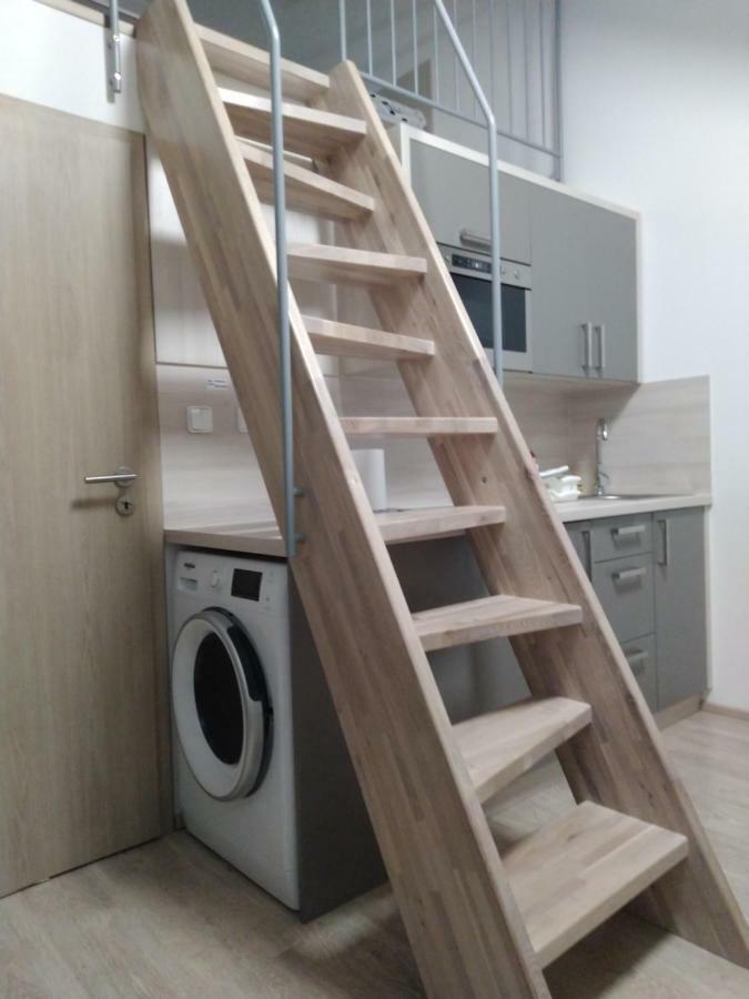 Apartman Pod Medvedi Horou Loučná nad Desnou Exteriör bild