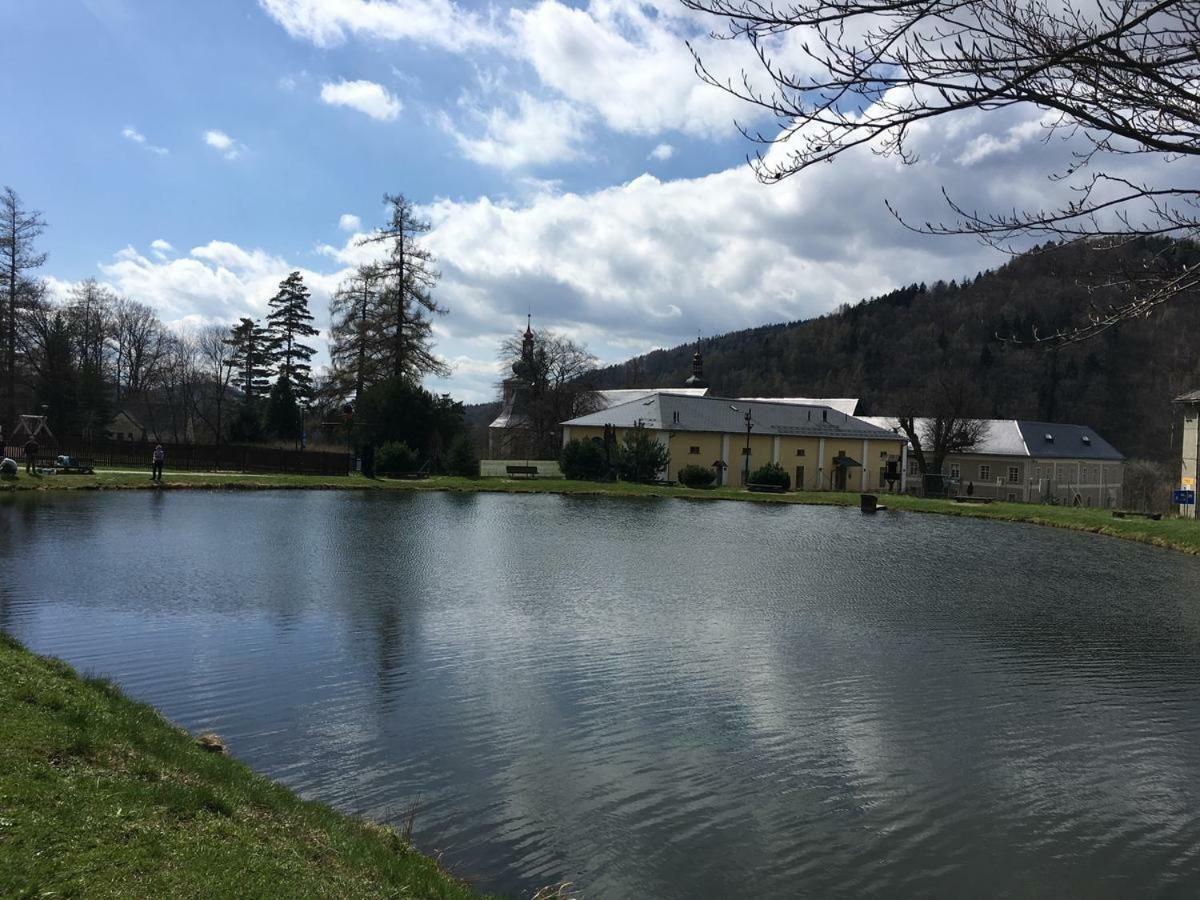 Apartman Pod Medvedi Horou Loučná nad Desnou Exteriör bild