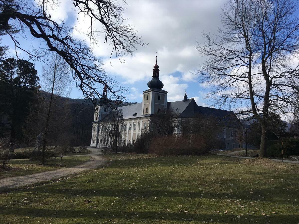 Apartman Pod Medvedi Horou Loučná nad Desnou Exteriör bild