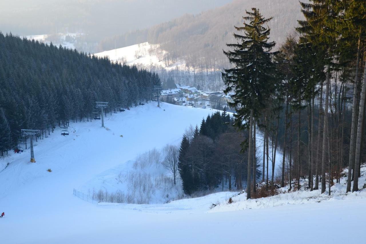Apartman Pod Medvedi Horou Loučná nad Desnou Exteriör bild