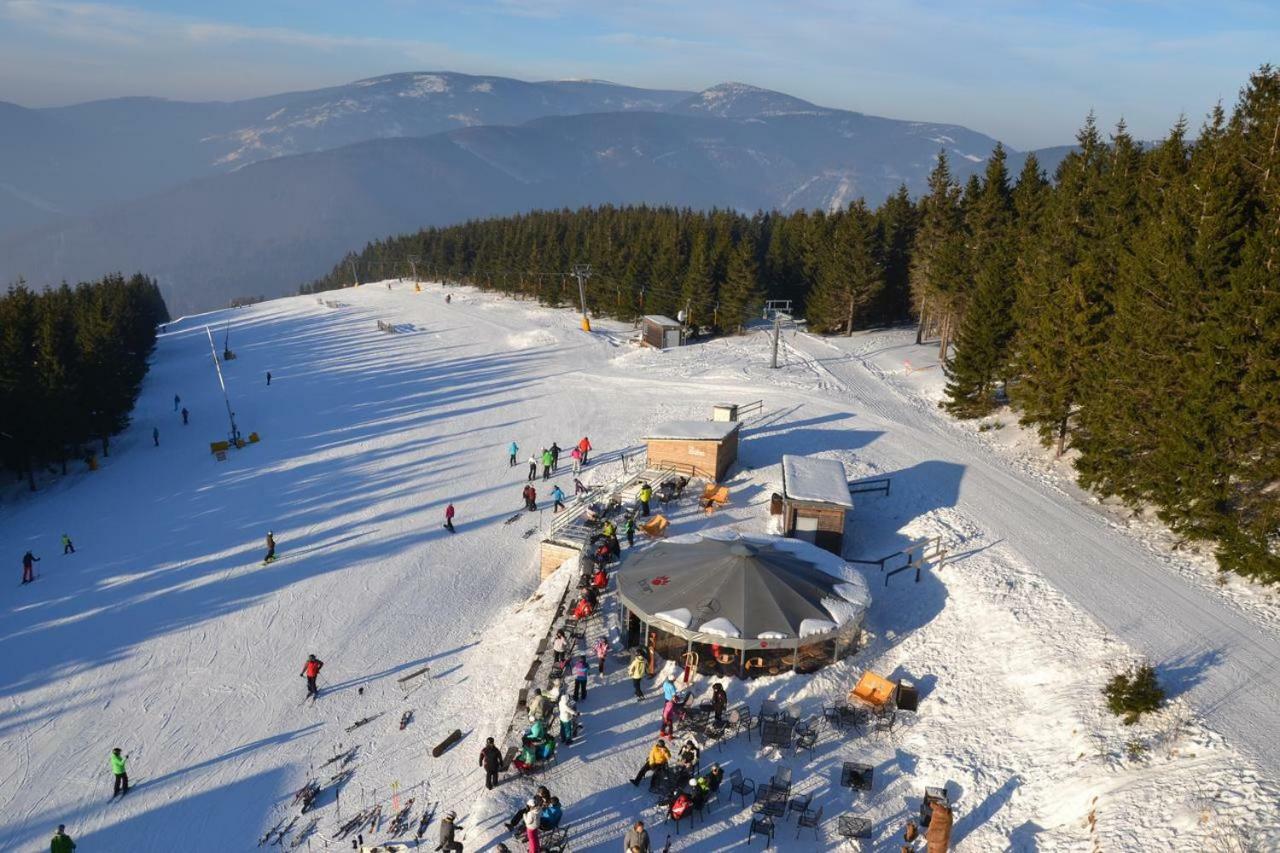 Apartman Pod Medvedi Horou Loučná nad Desnou Exteriör bild